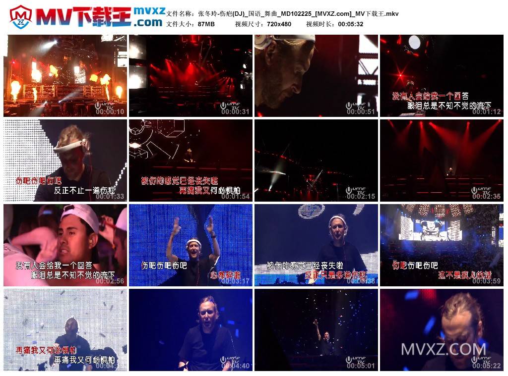 张冬玲-伤疤(DJ)_国语_舞曲_MD102225